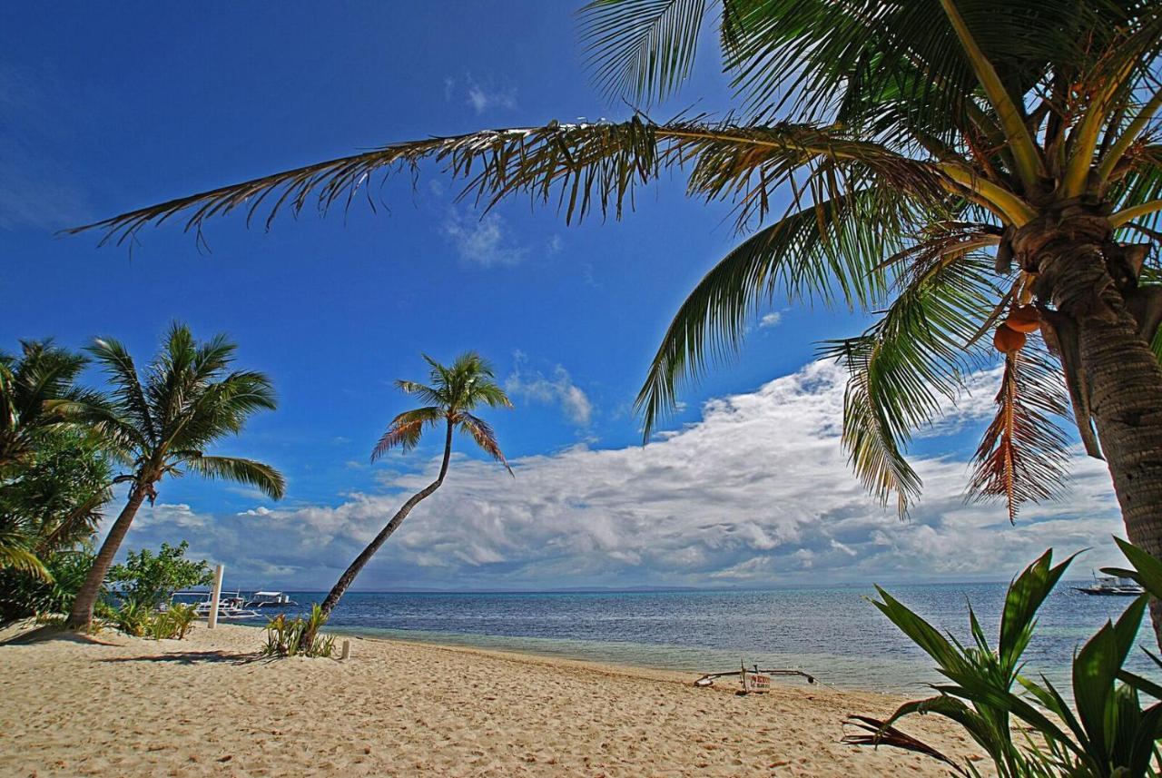 Malapascua Exotic Island Dive Resort Daanbantayan Exterior photo